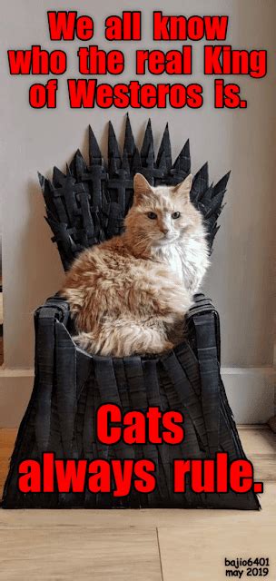 Image result for SQL Image for Function