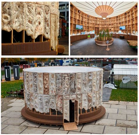 A Review of Mycelium Bio-Composites as Energy-Efficient Sustainable ...