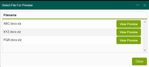 Select a File to Preview Setting 的图像结果