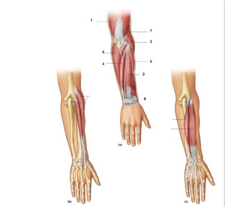 Image result for Hand Labeling