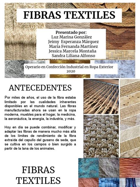 Fibras Textiles 的图像结果