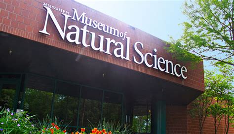 8 Must Visit Attractions in Mississippi - lifeberrys.com
