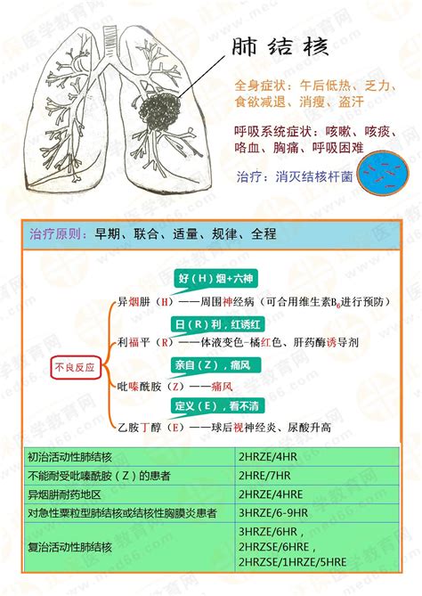 立秋后，润肺养肺正当时！ 推荐3种养肺小方法 简单又实用 | 新生活报 - ILifePost爱生活