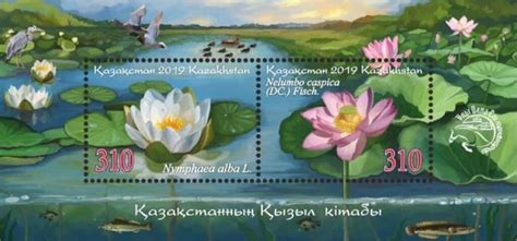 Water Flowers on Stamps – Kazakhstan 2019 – Stamp Digest