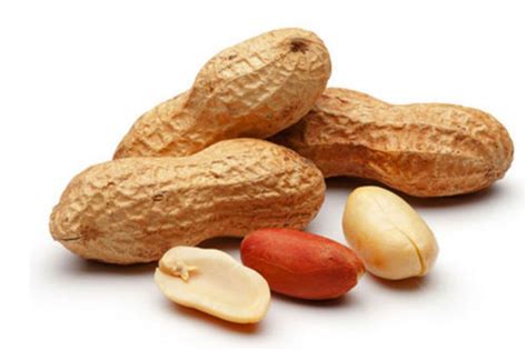 Ground Nut: రోజూ గుప్పెడు వేరుశెనగ తింటే.. ఆ వ్యాధికి చెక్ పెట్టొచ్చు ...