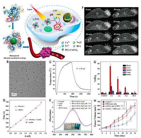 Recent Advances in Single Fe-Based Nanoagents for Photothermal ...