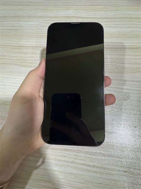 Image result for iPhone 13 Pro Max Graphite Color