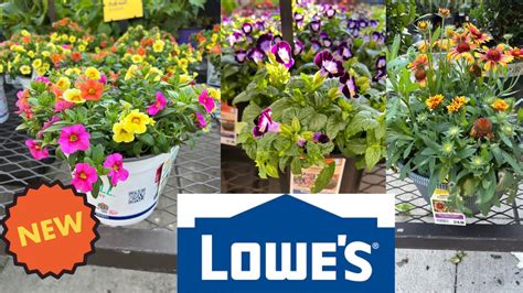 Image result for Lowe's Flower Garden