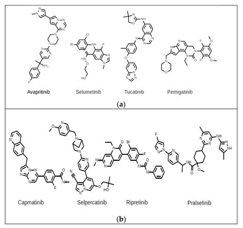 Anti-Cancer Drugs Targeting Protein Kinases Approved by FDA in 2020