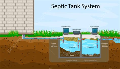 Image result for Basic Septic System Layout