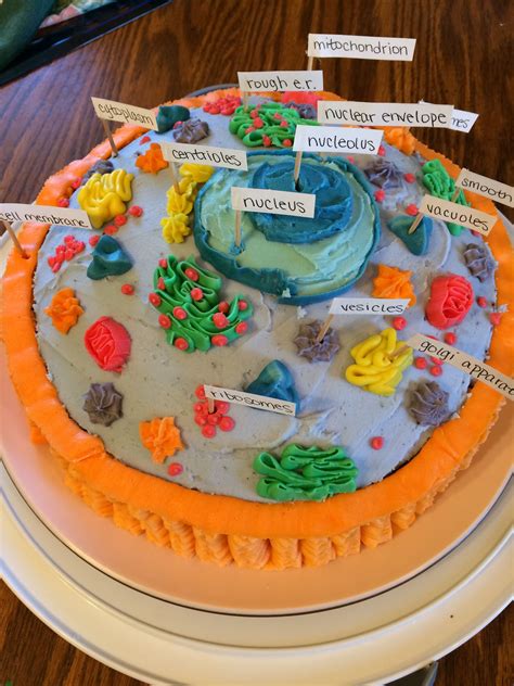 3D Animal Cell Model Project Rubric : Plant and Animal Cell Model ...