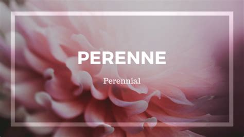 20 Beautiful Spanish Words to Add to Your Vocabulary