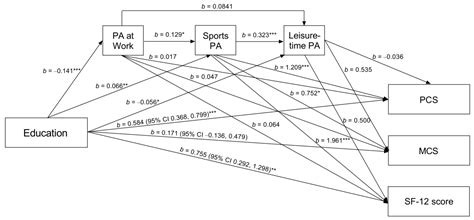 Exploring the Role of Physical Activity in Mediating the Association ...