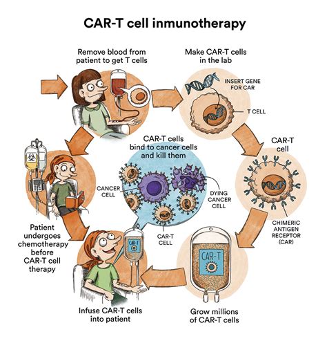 T Cell Acute Lymphoblastic Leukemia
