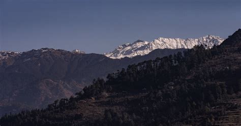 Deep In Woods: Live The Mountain Life