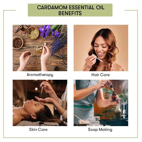 Buy Cardamom Essential Oil Online at Best Price in India – VedaOils