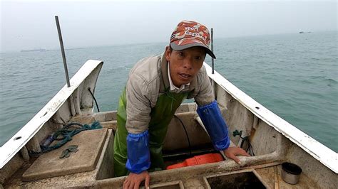 跟着渔民出海打鱼，捞到了各种螃蟹和虾，快来看看还有什么收获？ 【渔小仙】 - YouTube