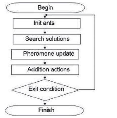 Algorithm Visualization Aco 的图像结果
