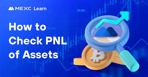 How to Check PNL of Assets