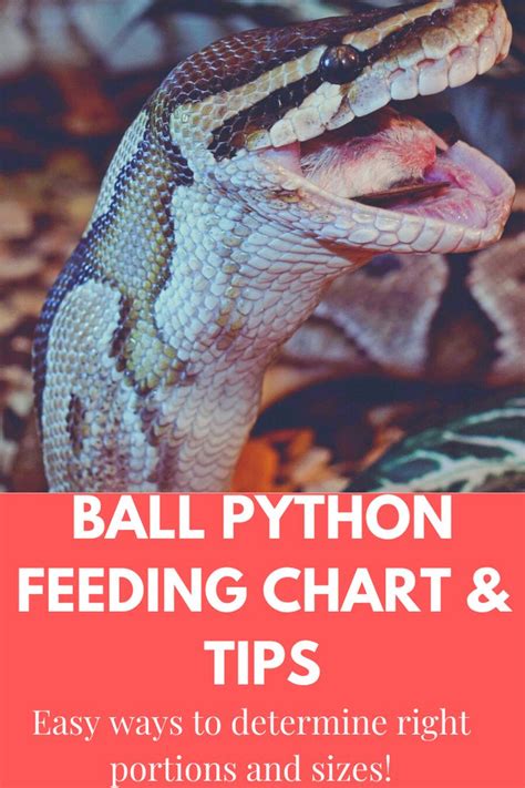Image result for Python Make String Uppercase