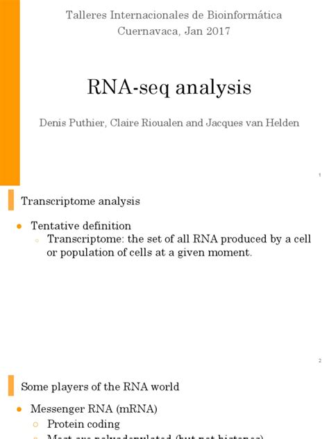 RNA-Seq Analysis Tutorial 的图像结果