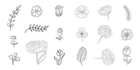 Set of Simple Flower Line Doodles 952679 Vector Art at Vecteezy