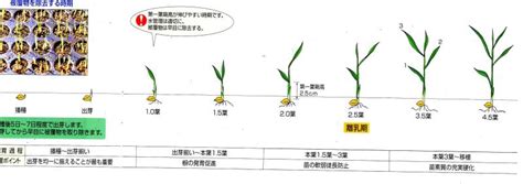Image result for Explain Difference Between Stack and Queue