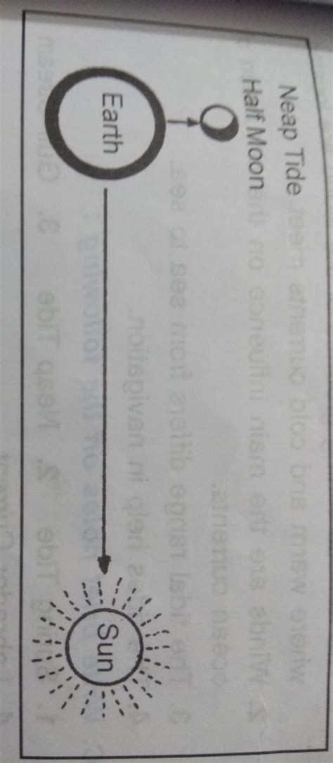 Explain neap tide in detail...... - Brainly.in