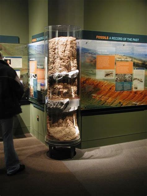 Museum Display 的图像结果