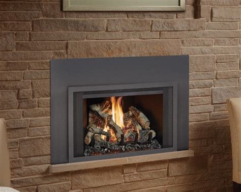 Image result for Gas Log Inserts