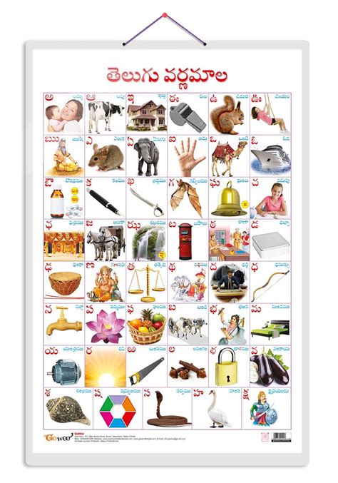 Buy Telugu (Telugu) Educational chart with Big font and Dust resistant ...