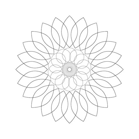 Chrysanthemum vector icon | Premium Vector