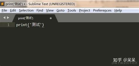 Python Run Times Installation 的图像结果