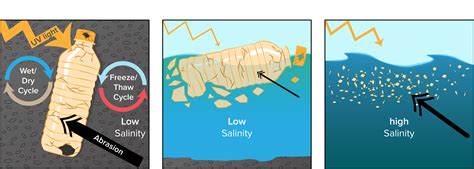 Microplastics breaking down in different areas of the environment ...