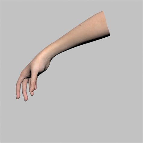 Image result for Female Hand 3D Modeling