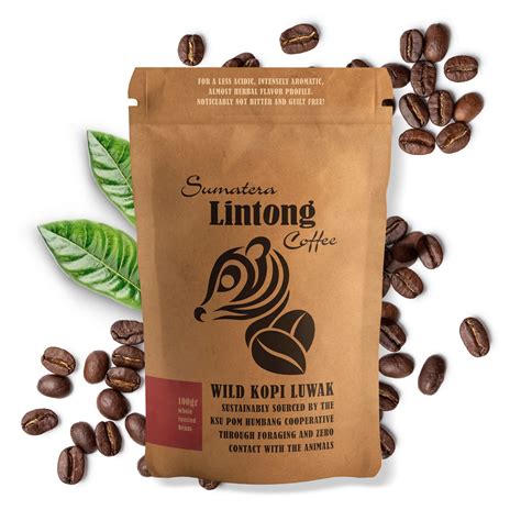 Buy Wild Kopi Luwak, the World’s Most Exclusive Coffee, Sustainably ...
