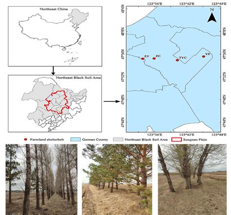 Research Local Example 的图像结果
