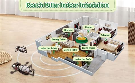 Cockroach Infestation Solutions 的图像结果