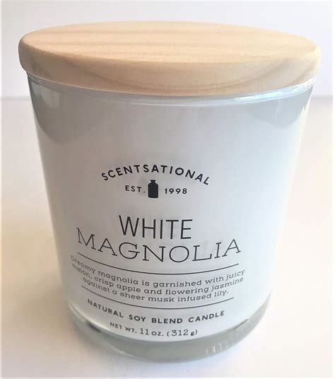 Amazon.com: Scentsational Candle Co. Natural Soy Wax Blend Scented ...