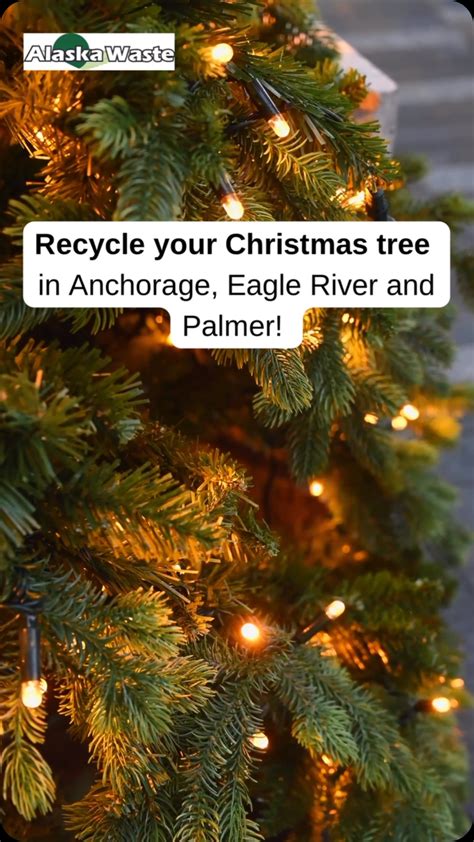 Alaska Waste (@alaskawaste) • Instagram photos and videos