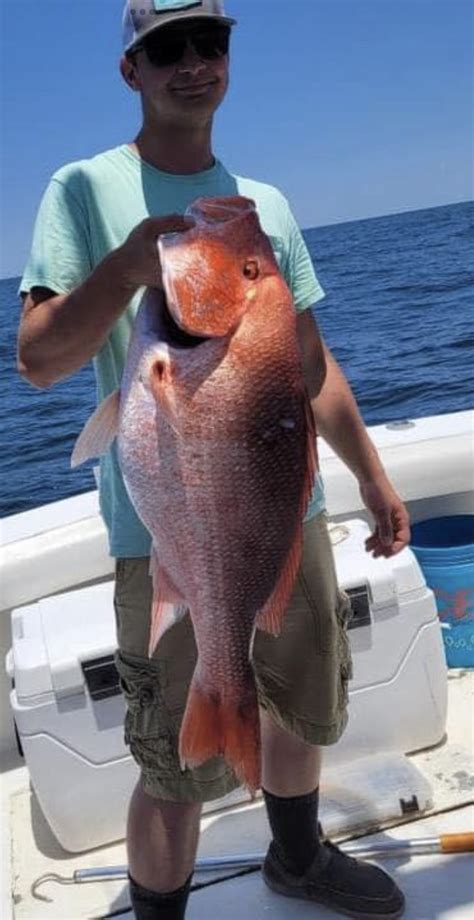 Image result for Red Snapper Fishing