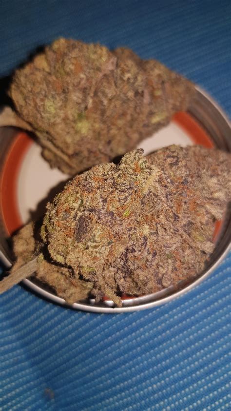 Larry Bird Kush (Gelato #33)🍦🍪🎂 : r/germantrees