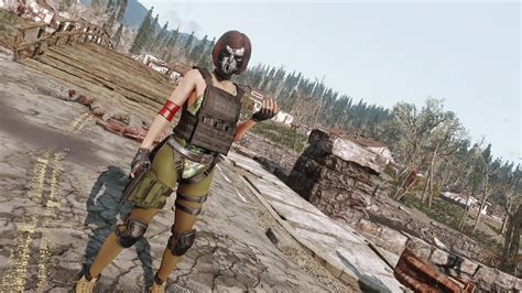 Image result for Fallout 4 Nexus Mod Manager Install