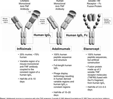 Figure 1 from Adalimumab in the treatment of arthritis | Semantic Scholar