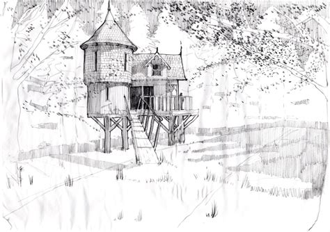 treehouse view looking north (2) - Newton Architects Sustainable ...