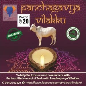 Prakruthi Pulp Art Prakruthi Pulp Art Panchagavya Diya/Vilakku/Deepak ...