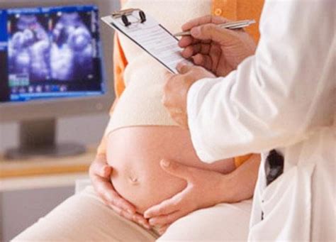【转】高清图解人类胎儿发育过程|Jerkwin