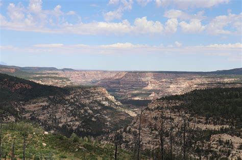 Dark Canyon Wilderness Recreation Area