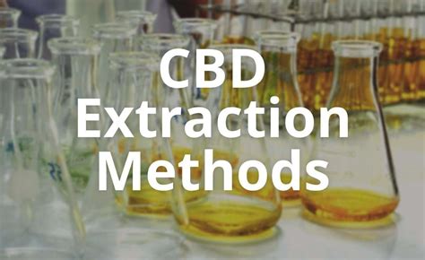 Image result for CBD Extraction Methods