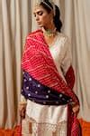 Buy Red Organza Embroidery And Bandhani Aari Dupatta For Women by Pooja ...